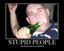 $stupid-people.jpg