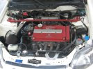 $IMG_4717_800.jpg