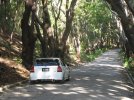 $Honda Pics 242.jpg