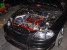 $Picture 039.jpg