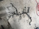 7793D403-EB6C-417D-BDEE-DD06D38F46B6.jpeg