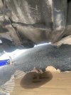 IMG_8846.jpeg