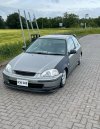 IMG_4213.jpeg