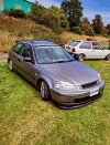 IMG_4236.jpeg