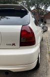 IMG_4136.jpeg