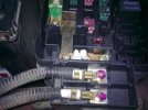 $20062010211.jpg
