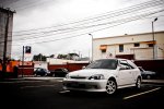 $DSC_5968 (Large).jpg