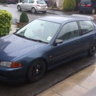 Harrigan95