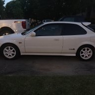 Nelsonr31