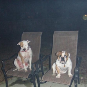 Hangin with my dawgs!