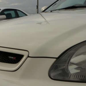 Front Bonnet