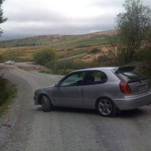 corolla + civic n background