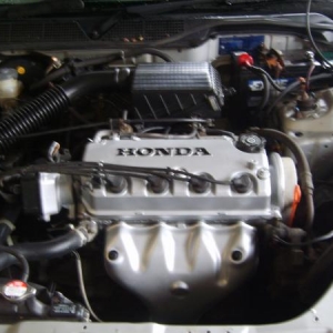 Civic Engine 003