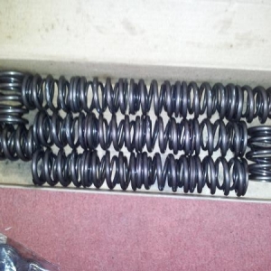 skunk 2 tuner valve springs