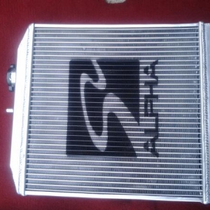 Skunk2 alpha half size radiator