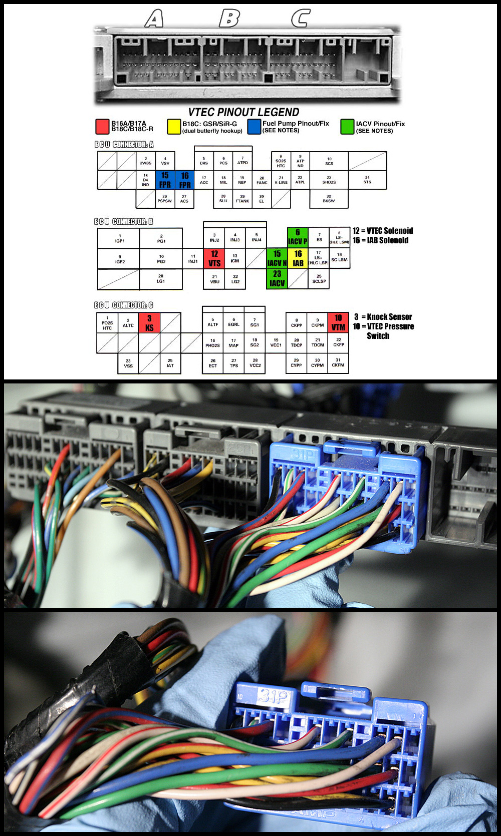 wiring[1].jpg